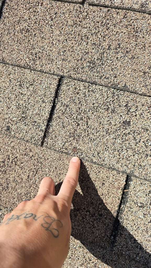 Hail damage on asphalt shingles found during a Ridgeback Roofing roof inspection in Warner Robins, GA