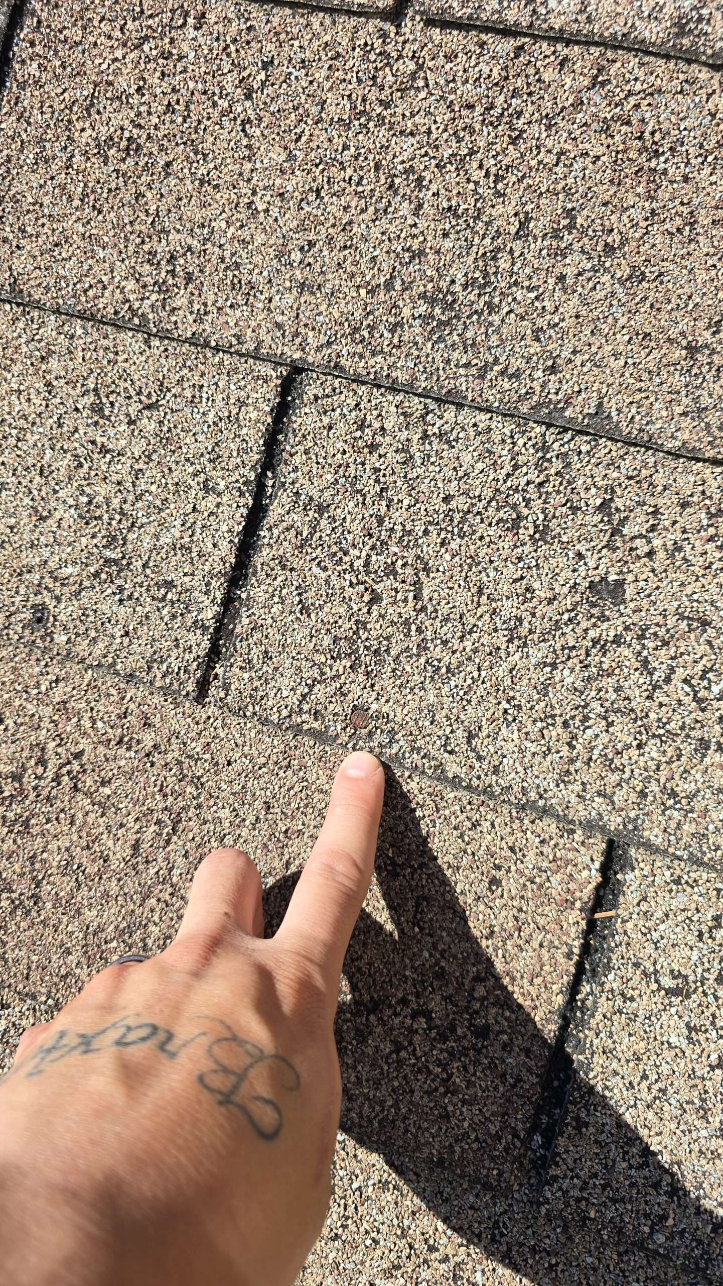 Hail damage on a Warner Robins residential roof inspected by Ridgeback Roofing