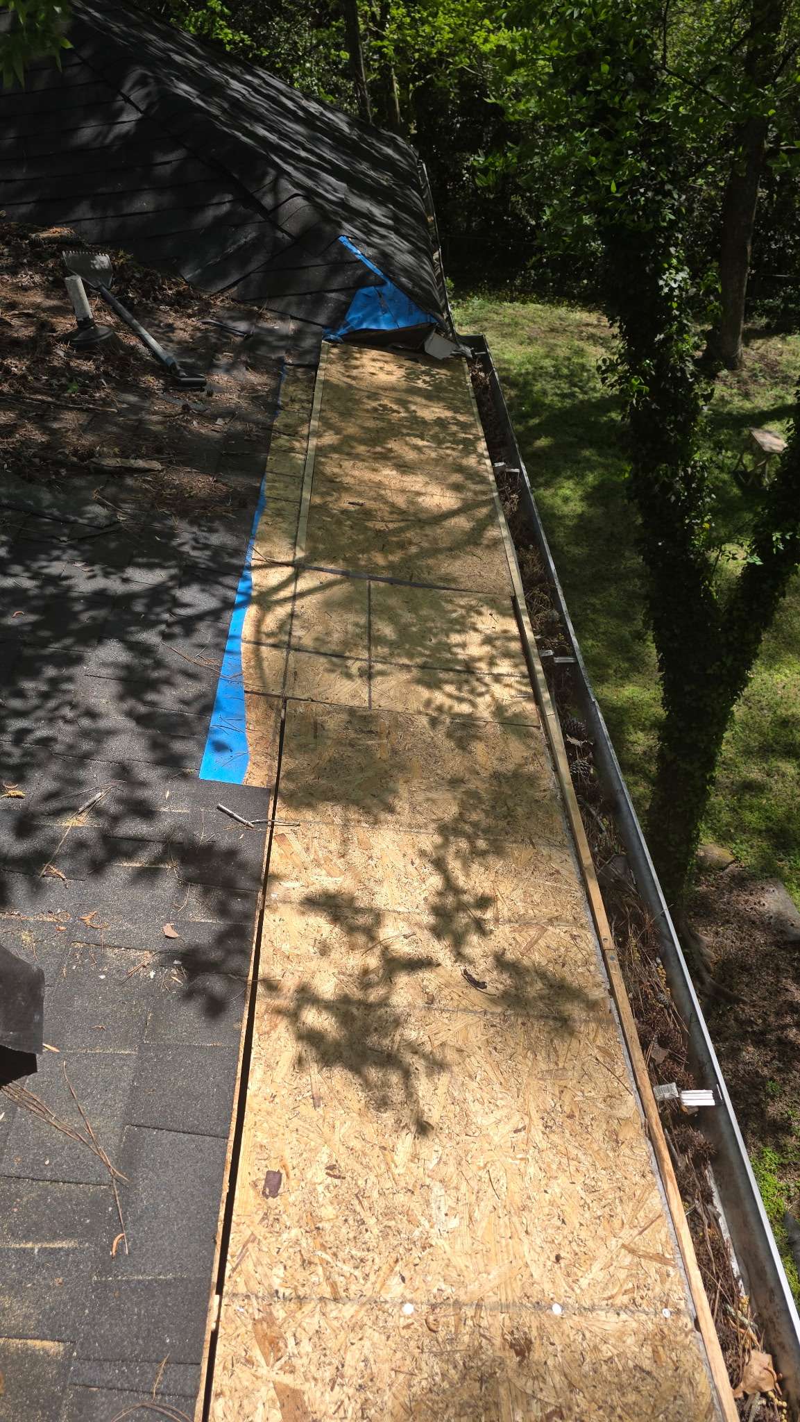 Rotten roof decking exposed during a Ridgeback Roofing repair inspection in Warner Robins, GA